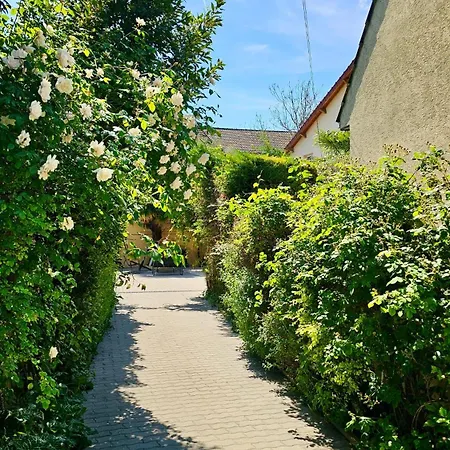 Maison De Pas De Fetes *